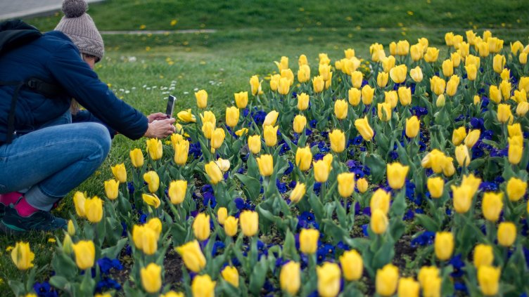 Снимка: Димитър Кьосемарлиев, Dnes.bg