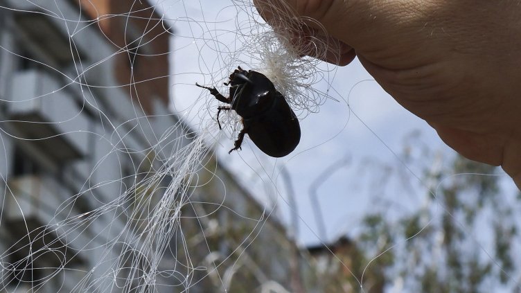 Снимка: архив, БГНЕС