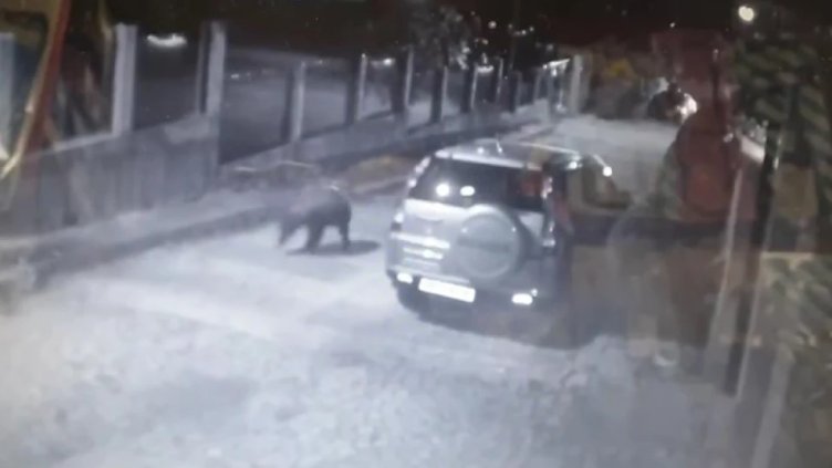 Снимка Стоп кадър БНТ