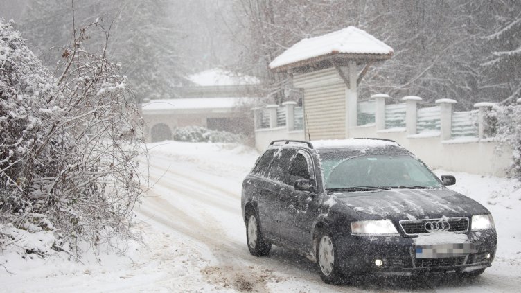 Снимка: архив, БГНЕС