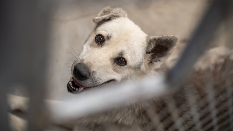 Снимка: архив, БГНЕС