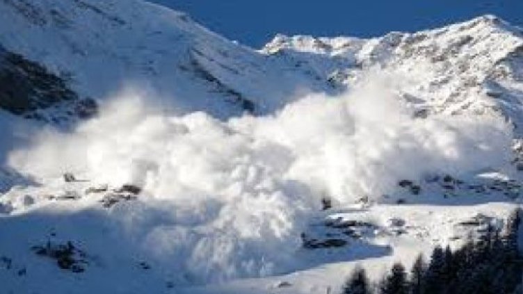 Снимка Пиксабей