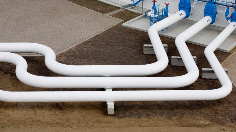 Снимка: архив, БГНЕС