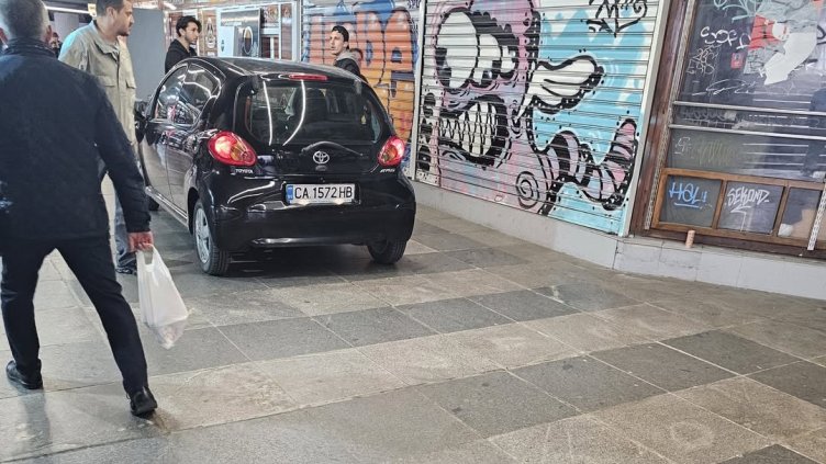 Снимка: Христо Блажев