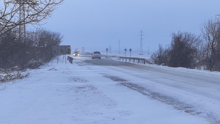 Снимка: архив, БГНЕС