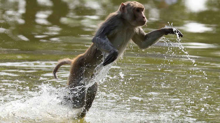 Снимка: архив, БГНЕС