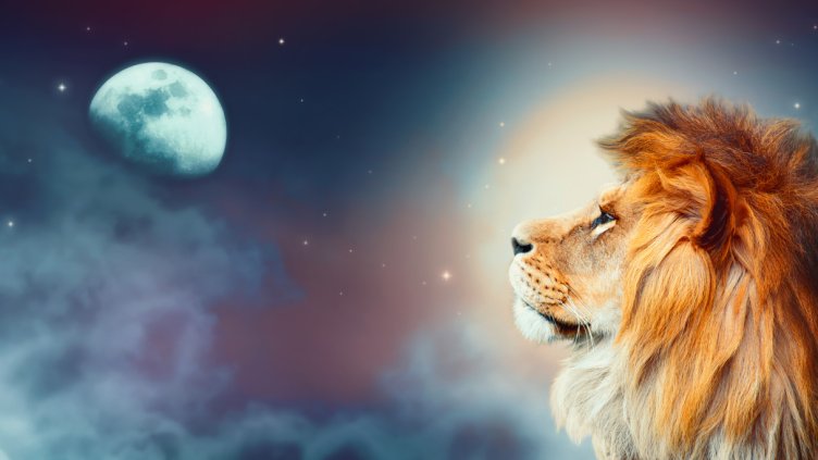 Снимка: iStock/Yuliia