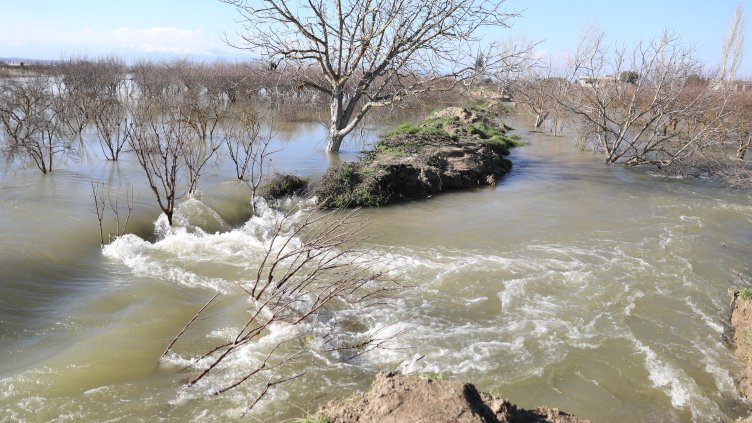 Снимка: архив, БГНЕС