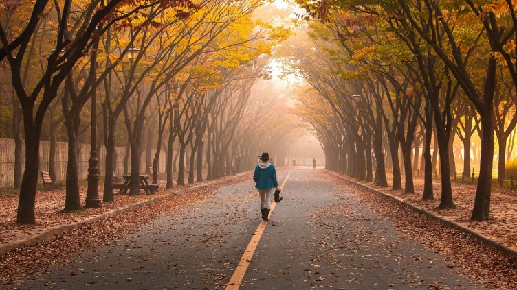 Снимка: Pixabay