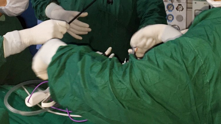 Снимка: архив, БГНЕС