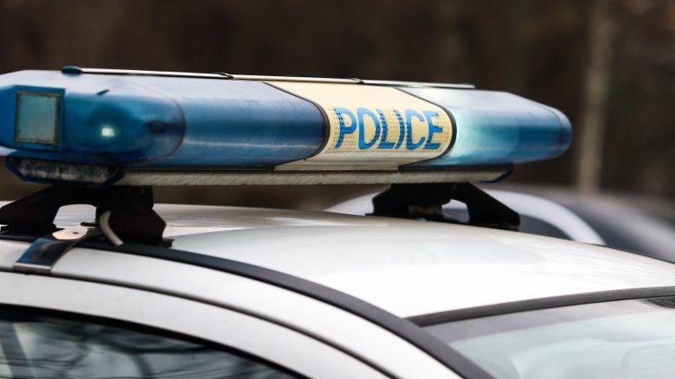 Снимка: архив, БГНЕС