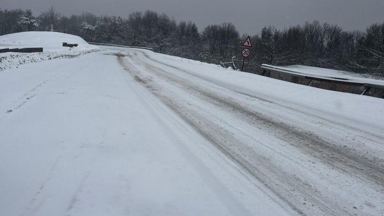 Снимка: архив, БГНЕС