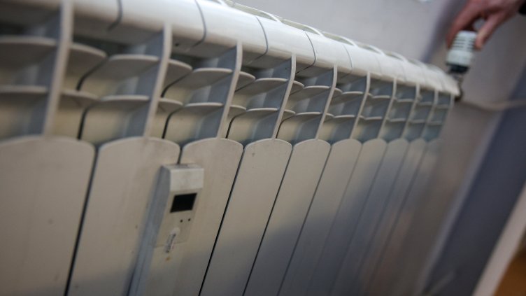 Снимка: архив, БГНЕС