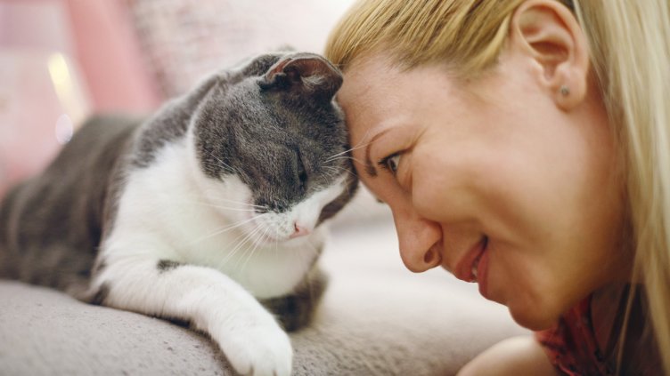 Снимка: iStock/IvanJekic