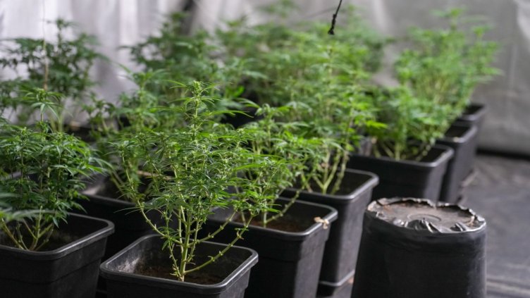 Снимка: архив, БГНЕС