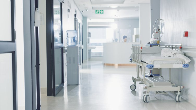 Снимка: IstockPhoto