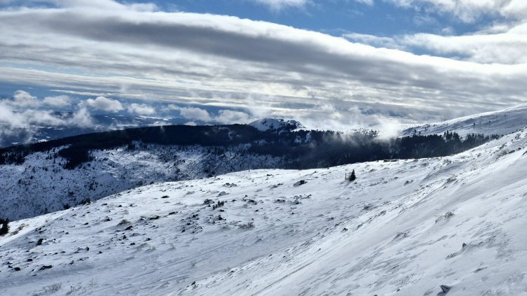 Снимка: архив, БГНЕС
