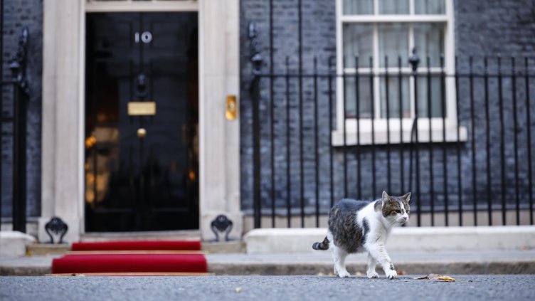 Снимка: архив, БГНЕС