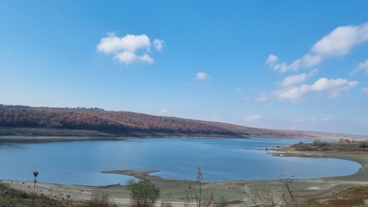 БГНЕС, архив