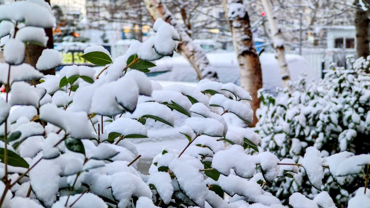 Снимка: архив, БГНЕС