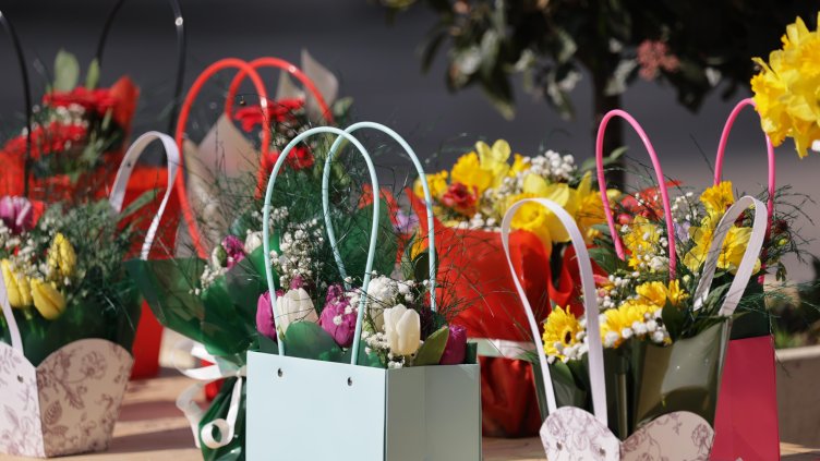 Снимка: архив, БГНЕС