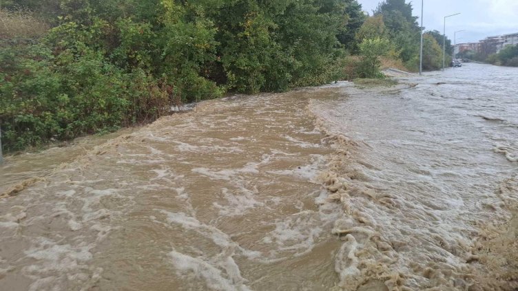 Снимка: архив, БГНЕС