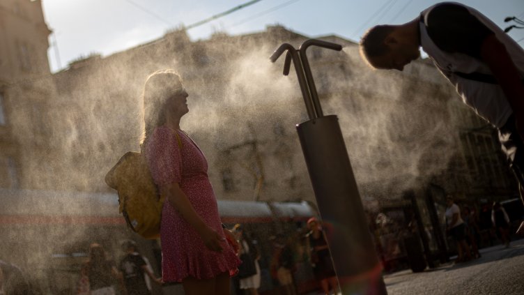 Снимка: архив, БГНЕС