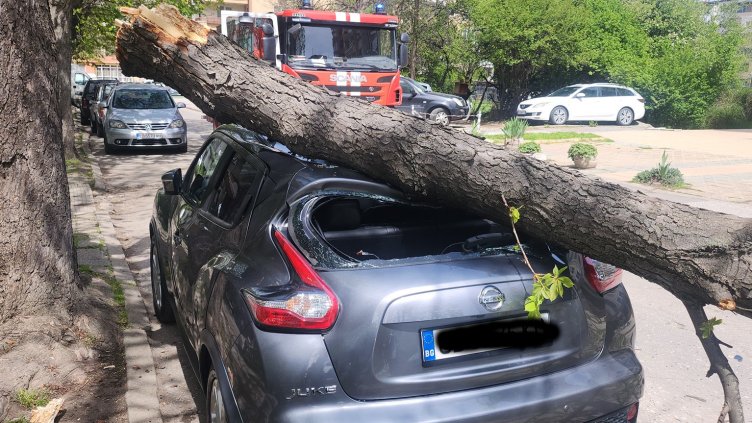 Виктория Алексиева, Катастрофи в София, Facebook