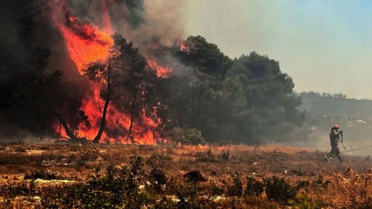 Снимка БГНЕС