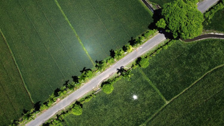 Снимка: архив, БГНЕС