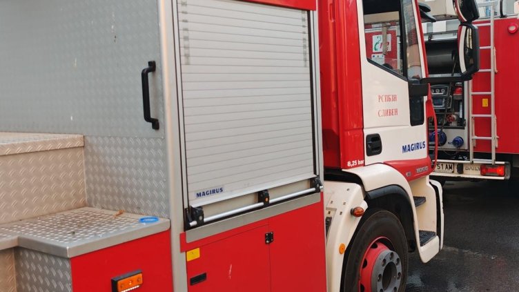 Снимка: архив, БГНЕС