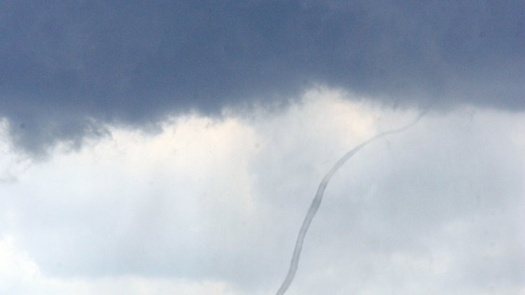 Снимка: архив, БГНЕС