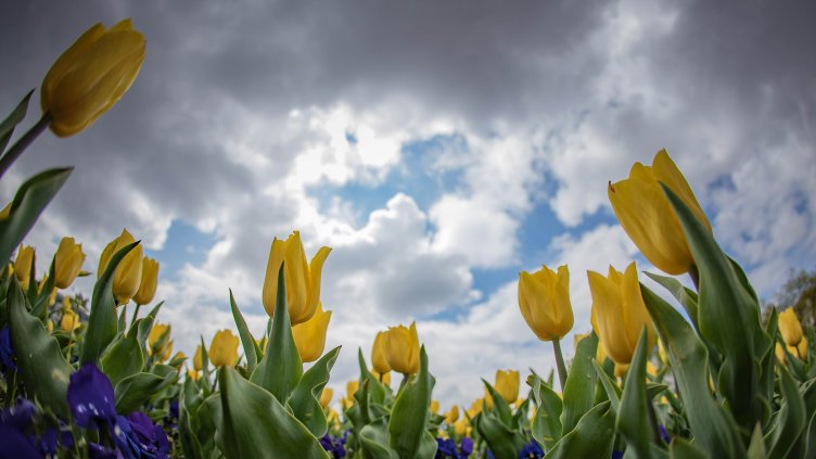 Снимка: Димитър Кьосемарлиев, Dnes.bg