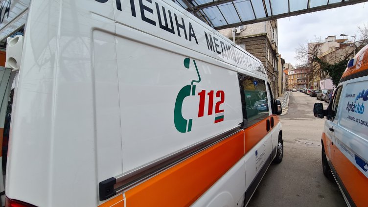 Снимка: архив, БГНЕС