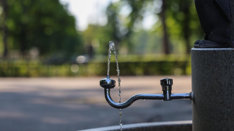 Снимка: архив, БГНЕС