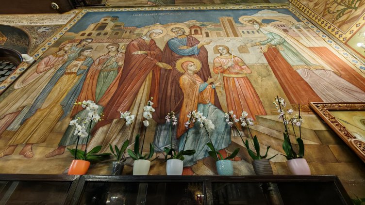 Снимка: архив, БГНЕС