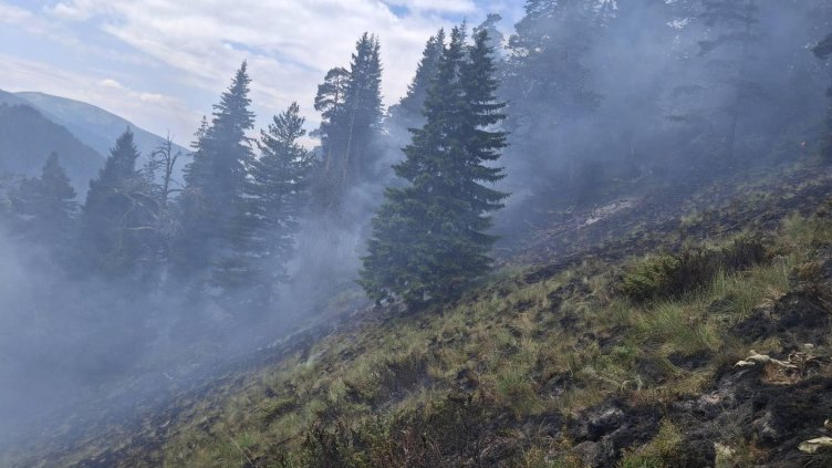 Снимка: БГНЕС