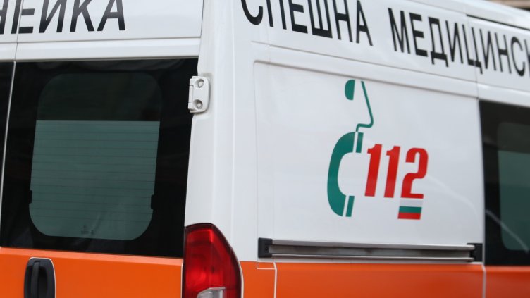 Снимка: архив, БГНЕС