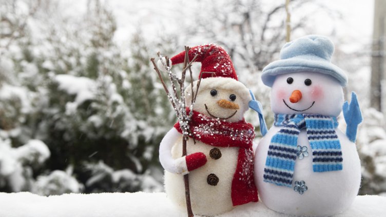 Снимка: iStock/pepifoto