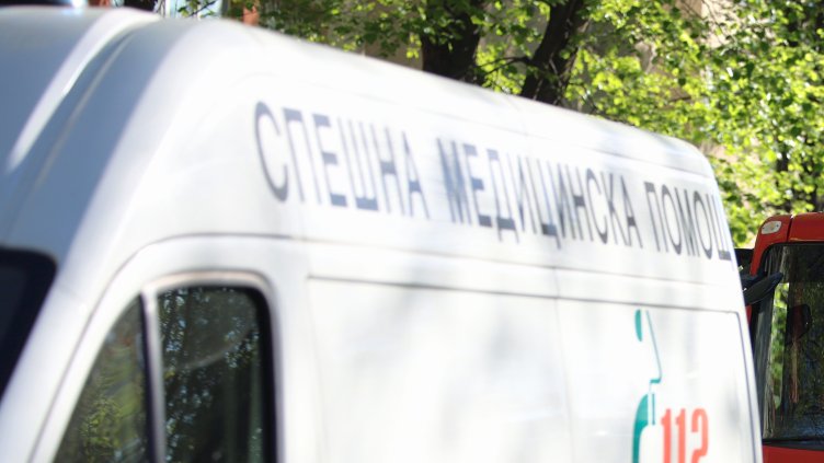 БГНЕС, архив