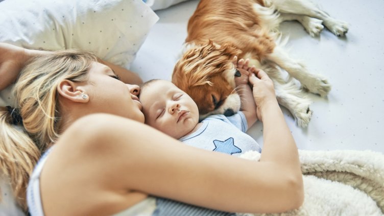 Снимка: IstockPhoto