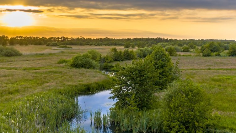 10 неща, които (може би) не знаем за влажните зони в България