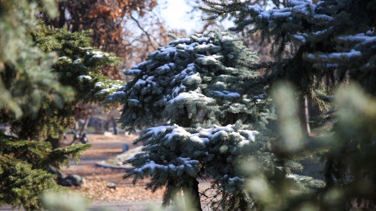 Снимка: архив, БГНЕС