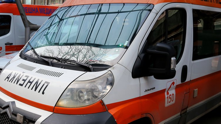 Снимка: архив, БГНЕС