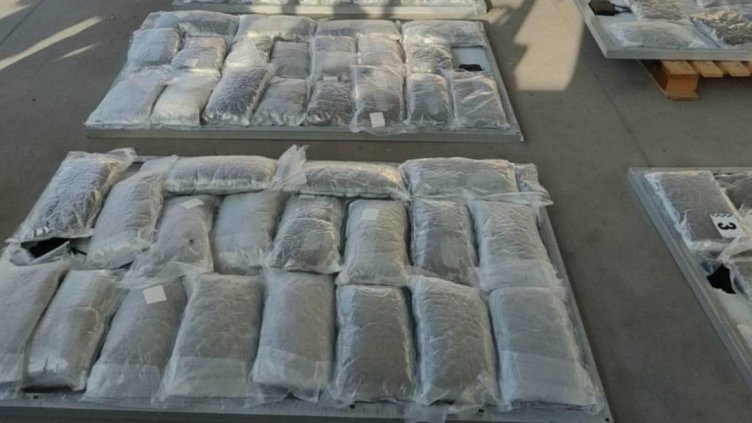 БГНЕС, архив