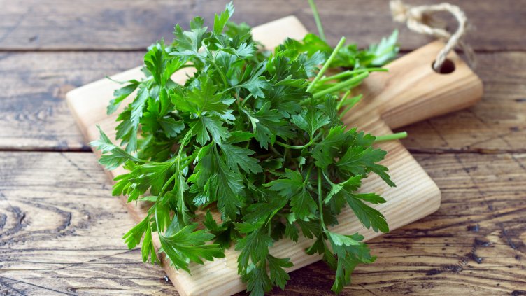 Снимка: istock