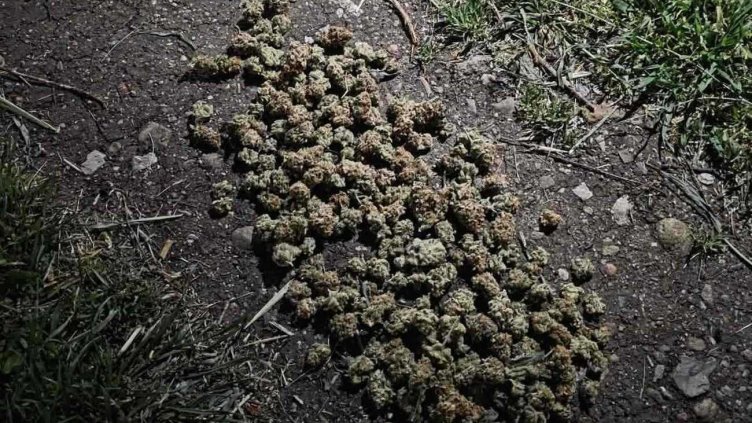 МВР