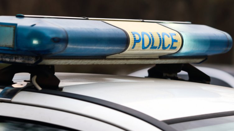 Снимка: архив, БГНЕС