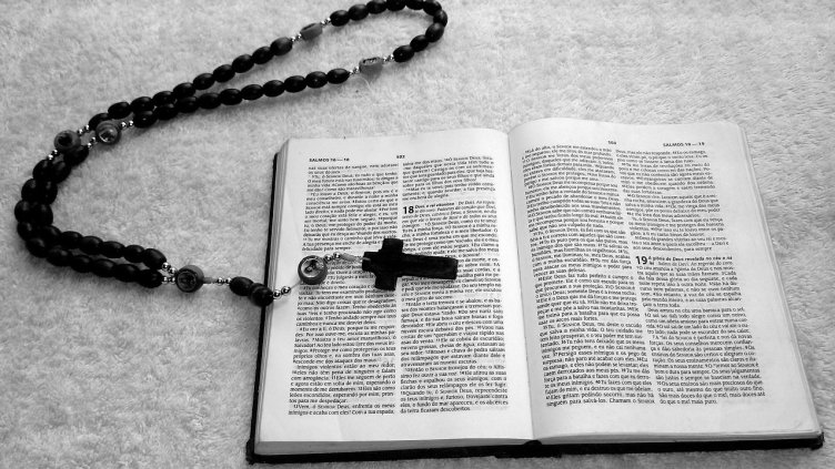 Снимка: Pixabay/ emersonmello