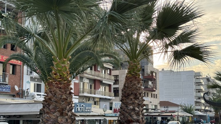 Снимка: архив, БГНЕС